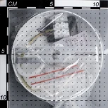 Подвесной светильник Citilux Арагон CL947250