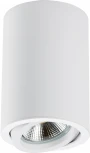 Накладной точечный светильник Lightstar Rullo 214406 (220V, круглые)