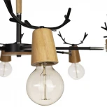 Потолочная люстра на штанге Loft IT Sven 10024/6 Black (220V, рога)