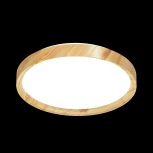 Настенно-потолочный светильник Sonex Woodi 3019/EL