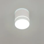 Накладной точечный светильник Citilux Борн CL745020N (LED, 220V, диммер, круглые)