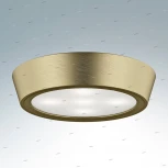 Потолочный светильник круглый Lightstar Urbano Mini 214714 (LED, 220V, IP65)