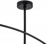 Потолочная люстра на штанге Favourite Statera 3045-2P (220V)