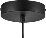 Подвесной светильник LED Lightstar Palermo 612117 (220V, на проводе, круглые)