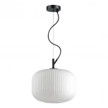 Подвесной светильник Odeon Light Roofi 4754/1 (220V, на тросе)