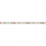 Светодиодная лента Arlight MICROLED-5000HP 024504