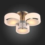 Потолочная люстра ST Luce Foresta SL483.352.03