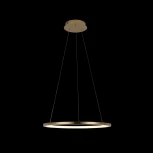 Подвесной светильник Loft IT Ring 10014M (LED, 220V, на тросе, кольцо)