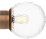 Настенный светильник уличный Covali WL-38028 (220V, шар, IP54)