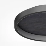 Потолочный светильник круглый Maytoni Orign MOD311CL-L27B3K (LED, 220V, круглые)