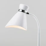 Офисная настольная лампа Eurosvet School 01077/1 белый