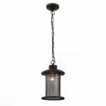 Уличный светильник подвесной ST Luce Lastero SL080.403.01 (220V, на цепи, IP54)