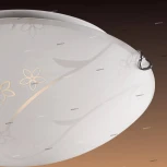 Настенно-потолочный светильник Sonex Luaro 110/K