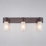 Спот Eurosvet 21130 21130/3 хром/венге (220V, листья, круглые)