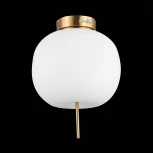 Потолочная люстра ST Luce Lacus SL1621.202.01