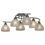 Потолочная люстра Lussole Zungoli LSF-1603-06 (220V, IP21)