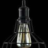 Подвесной светильник Maytoni Denver T448-PL-01-B