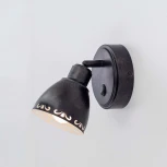 Спот Citilux Робуста CL509512