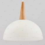 Подвесной светильник Alfa Anja 9648(80400)