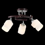 Потолочная люстра на штанге Citilux Берта CL126132 (220V)