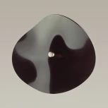 Настенный светильник Odeon Light Fluent 4859/5WL