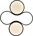 Потолочная люстра Freya Cosmic FR10015CL-L63B