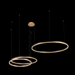 Подвесной светильник Loft IT Ring 10017/3M (LED, 220V, на тросе, кольцо)