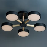 Потолочная люстра светодиодная на штанге с ДУ Ritter Scandia 51592 4