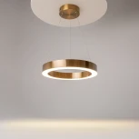 Подвесной светильник Saturno MOD415PL-L36BS4K (LED, 220V, на тросе, кольцо)