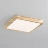 Настенно-потолочный светильник Citilux Бейсик CL738K182V (регулировка яркости, LED, 220V, IP40)