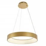 Подвесной светодиодный светильник MyFar Shannon MR2192-1PL (220V, пульт управления, на тросе, круглые, IP40)