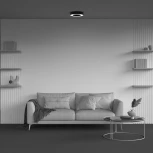 Потолочный светильник круглый светодиодный Maytoni Lua C093CL-24W4K-B (220V, круглые)