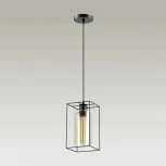 Подвесной светильник Lumion Elliot 3728/1 (220V, на проводе)