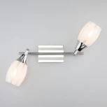 Спот Eurosvet 20129 20129/2 хром