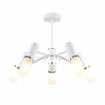 Потолочная люстра F-Promo Viator 2559-5P (220V)