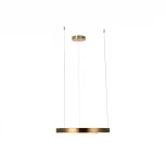 Подвесной светильник Loft IT Ring 10013M (LED, 220V, на тросе, кольцо)