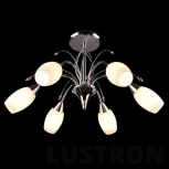 Потолочная люстра Eurosvet 22080 22080/6 хром