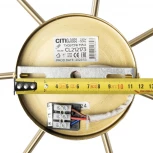 Потолочная люстра на штанге Citilux Tonga CL212173 (220V, шарики)