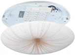 Потолочный светильник круглый светодиодный Eglo Nieves 1 900498 (220V, круглые)