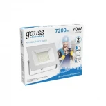 Прожектор уличный Gauss 613120370 (LED, 220V, IP65)