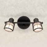 Спот Citilux Реймс CL563521