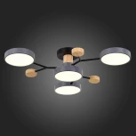 Потолочная люстра на штанге Evoluce Faema SLE6006-702-04