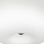 Потолочный светильник Eglo Optica 86812