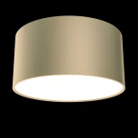 Потолочный светильник Zon 3000K 1x12Вт 120° LED Maytoni Technical C032CL-L12MG3K