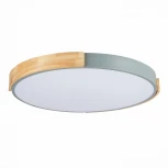 Потолочный светильник Evoluce Delia SLE201372-01