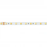 Светодиодная лента RT-B60-10mm 24V White-MIX (14.4 W/m, IP20, 5060, 5m) (Arlight, Изменяемая ЦТ) 025213(1)
