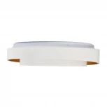 Потолочный светодиодный светильник круглый MyFar Rhea MR9161-CL (регулировка яркости, 220V, пульт управления, круглые)