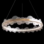 Подвесная люстра светодиодная ImperiumLoft Im_L989 (249082-60) (220V, на тросе, кольцо)