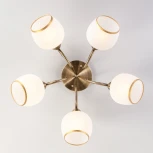 Потолочная люстра Eurosvet Brooksy 30159/5 античная бронза