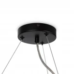 Подвесной светильник Maytoni Dallas MOD545PL-25B (220V, на тросе, шарики, кольцо, молекулы)